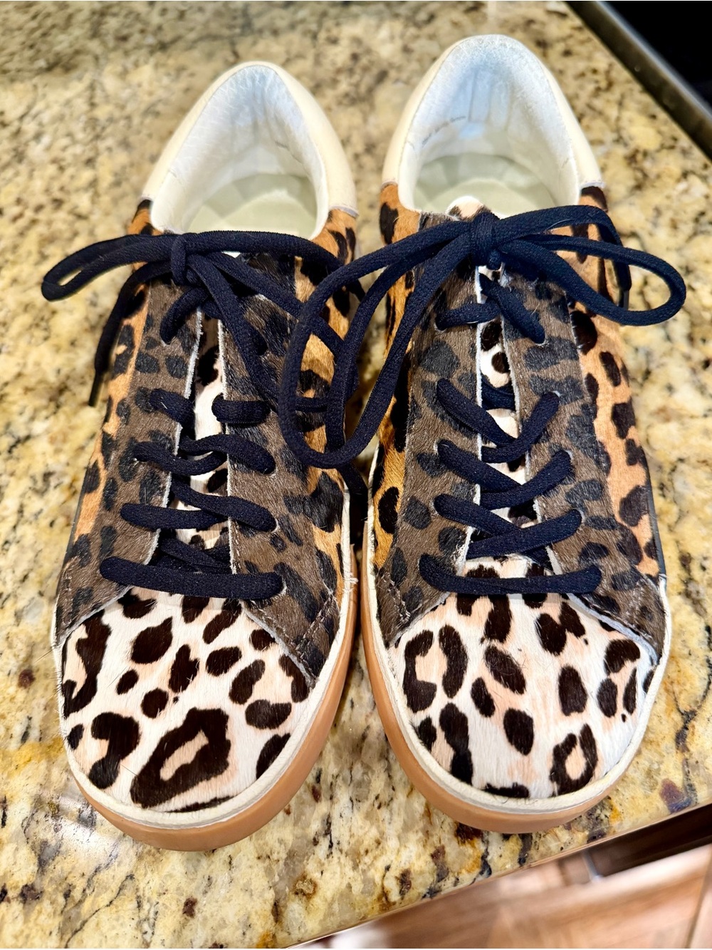 Dolce Vita Zina Leopard Print Sneakers with Black Laces
